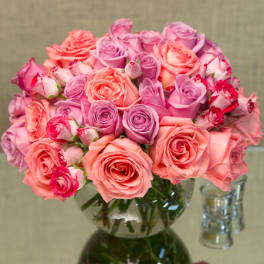 50 Muli Color roses
