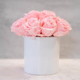 Pink Roses in White Cylinder
