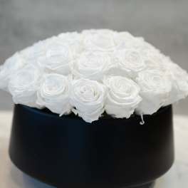 White Roses in Round White Container