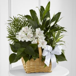 White flowers in a woven basket with a white ribbon