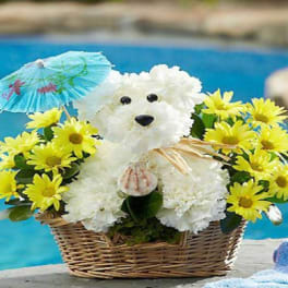 White teddy bear in a basket surrounded by yellow daisies and a small umbrella