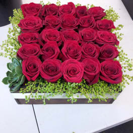 Rectangular box arrangement of red roses with green filler