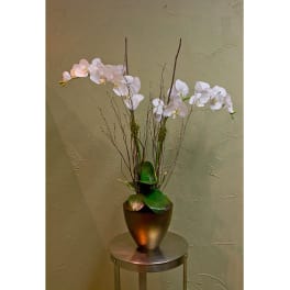 White orchid arrangement in a bronze vase on a small table