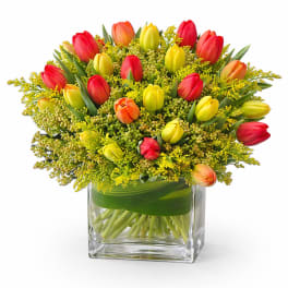 Colorful tulip arrangement in a square glass vase