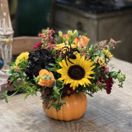 Fall floral arrangement in a pumpkin container with a sunflower and orange roses