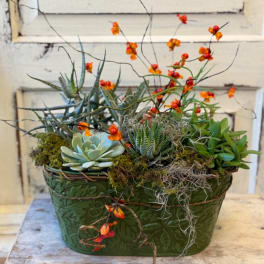 Succulent arrangement in a green embossed container with orange berry accents