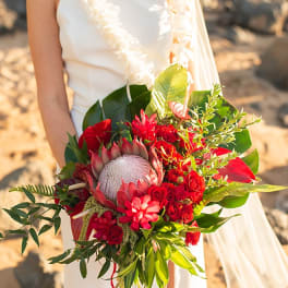 Bride holding a red tropical bouquet with a large protea bloom