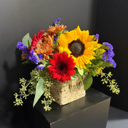 Bright mixed bouquet with sunflowers, red gerberas, and purple filler in a rustic vase