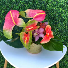 Pink and red anthuriums with a purple orchid in a gold vase
