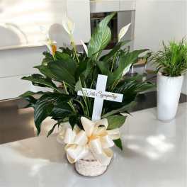 White peace lilies in a basket with a sympathy cross and ribbon bow
