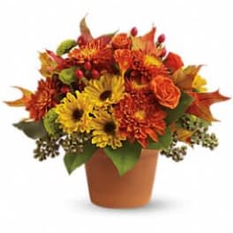 Orange and yellow mixed flower arrangement in a terracotta pot