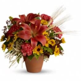 Mixed bouquet with red lilies and yellow flowers in a terracotta pot