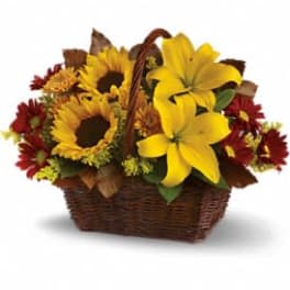 Basket arrangement with yellow lilies, sunflowers, and red daisies