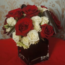Arrangement of red and white roses in a dark square glass vase on a red cloth.