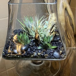 Glass pedestal terrarium filled with assorted succulents, an air plant, black gravel, and stones