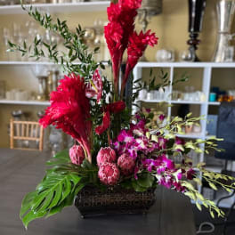 Tropical floral arrangement with red blooms and purple orchids in a dark rectangular vase