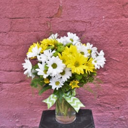 Yellow and white daisy bouquet in a glass vase with a chevron ribbon