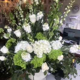 Tall white and green floral arrangement in a pedestal vase