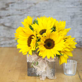 Sunflower arrangement in a square glass vase with burlap ribbon
