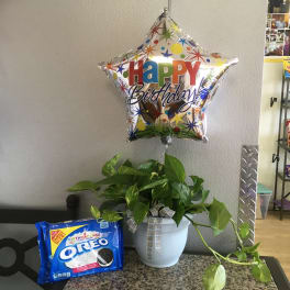 Potted green plant with a birthday balloon and Oreo cookies