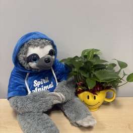 Plush sloth beside a potted green plant in a yellow smiley mug