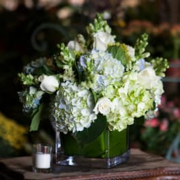 White and pale blue floral arrangement in a square glass vase