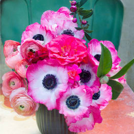 Pink and white anemones with ranunculus in a dark vase
