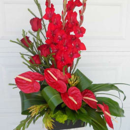 Red tropical floral arrangement with anthuriums and gladiolus in a black container