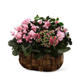 The FTD Pink Assortment