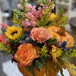 For My Pumpkin