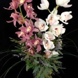 Pink and white orchids in a glass vase