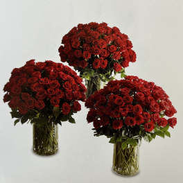 Three red rose arrangements in clear glass vases
