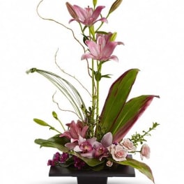 T256-1A Imagination Blooms with Cymbidium Orchids