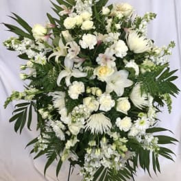Sentiments of Serenity Spray