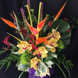 Exotic Tropical Tall Mix