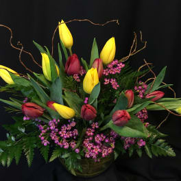 Local Tulips bowl with Curly Willow branches