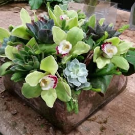 Succulent Rustic Garden