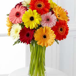 Colorful gerbera daisy bouquet in a clear glass vase