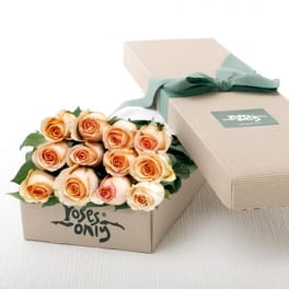 Peach roses in a gift box with a teal ribbon
