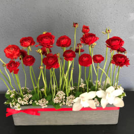 Red ranunculus arrangement in a gray rectangular planter with white orchids