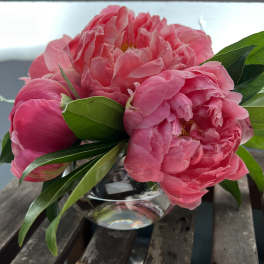 Pink peonies arranged in a clear glass vase