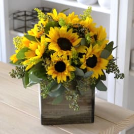 Sunflower Box
