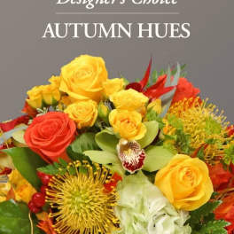 Fall Designer's Choice
