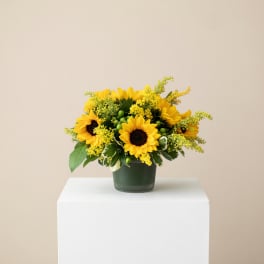 Sunflower arrangement in a dark green vase on a white pedestal
