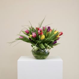 Mixed tulips arranged in a round glass vase