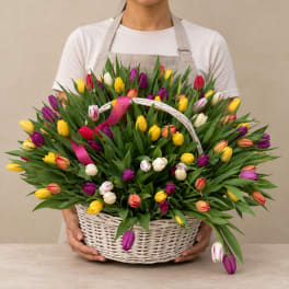 Basket of multicolored tulips held by a person in an apron