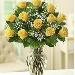 Yellow Roses