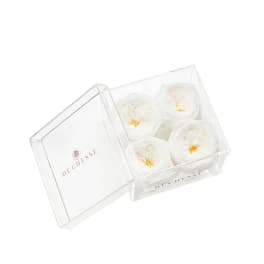 Clear box with four white flowers inside