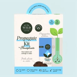 Houseplant propagation kit box with blue and green graphics