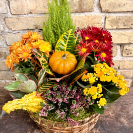 Autumn flower basket with chrysanthemums, a pumpkin, and a woven basket.